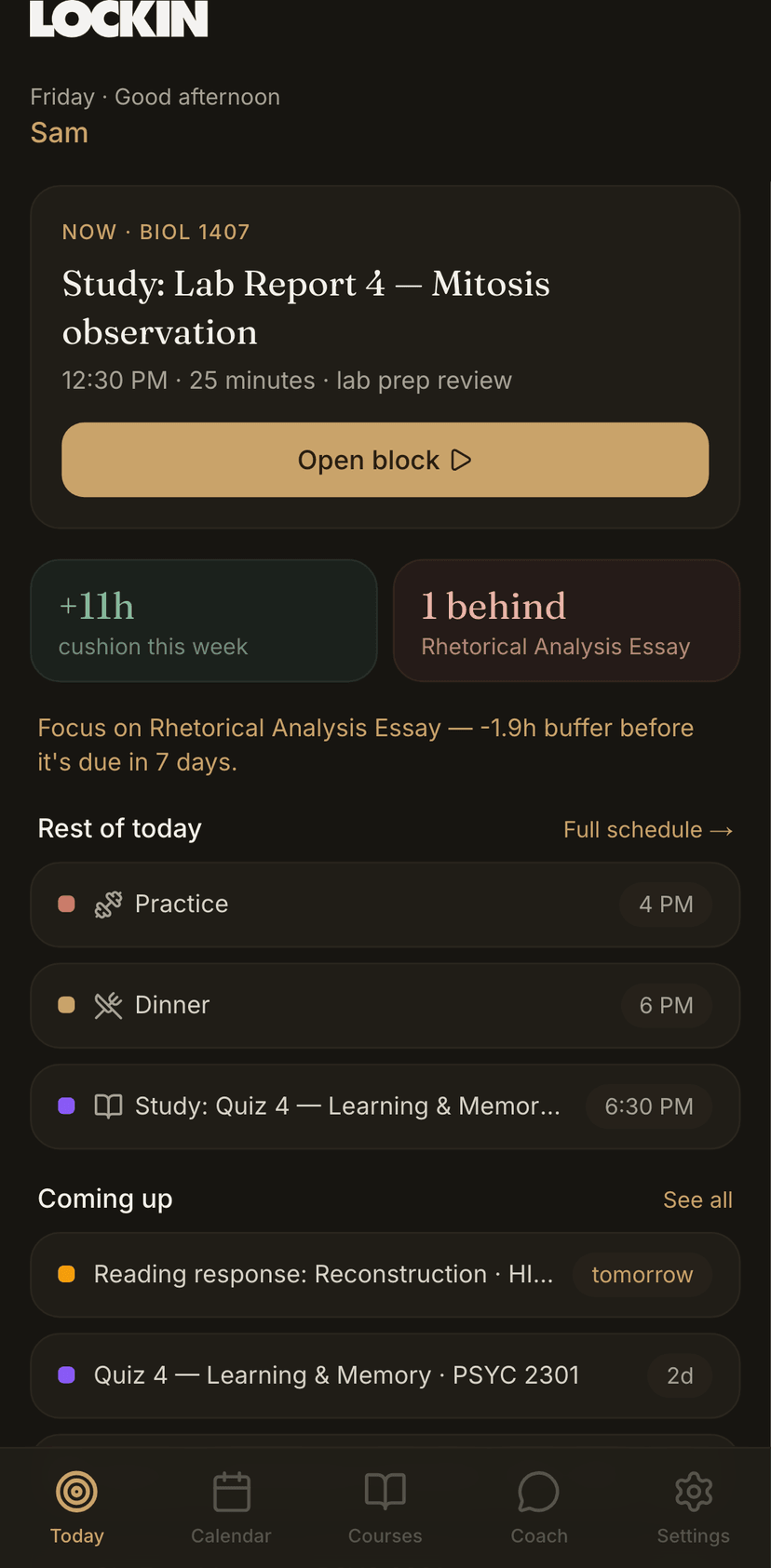 Dashboard showing 3 daily priorities, time estimates, and deadline risk